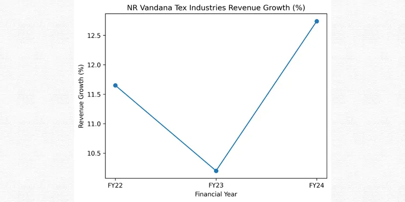 N R VANDANA TEXT INDUSTRIES LIMITED FINANCIAL AND BUSINESS ANALYSIS REPORT